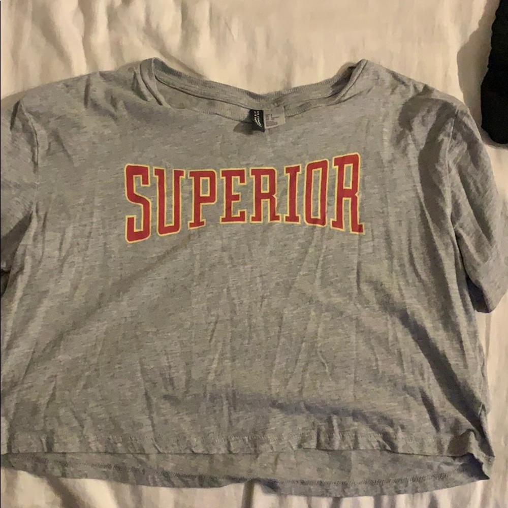 SUPERIOR crop top